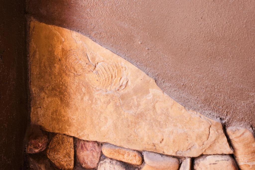 Casa Piedra ⁠ — Short Drive From Big Bend Terlingua Exterior foto